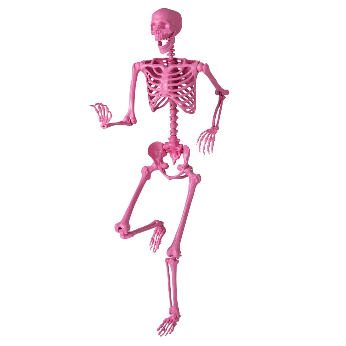 CostwaySquelette Rose d'Halloween de 160 cm Squelette Grandeur Nature Articulé avec Articulations Mobiles pour Décor de Cimetière