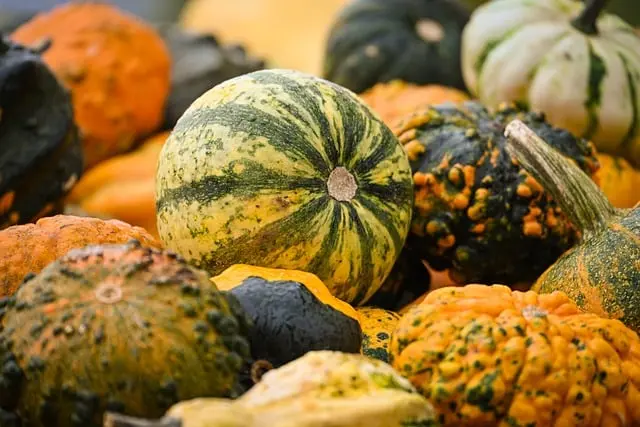 10 idées de décorations d'Halloween pour un effet garanti