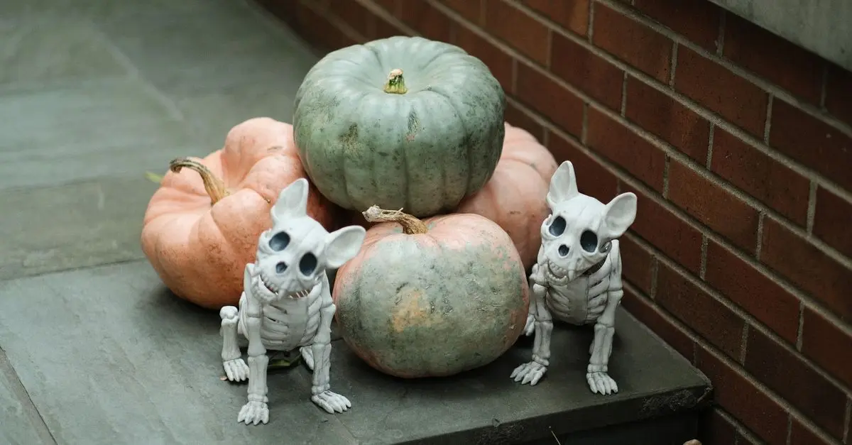10 conseils pour organiser une fête d'Halloween mémorable