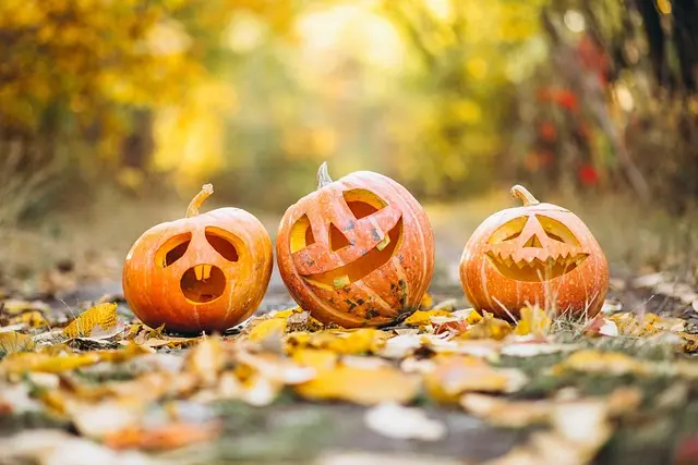 Comment créer une ambiance magique pour Halloween chez vous
