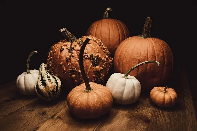 Les meilleures recettes de bonbons d'Halloween maison