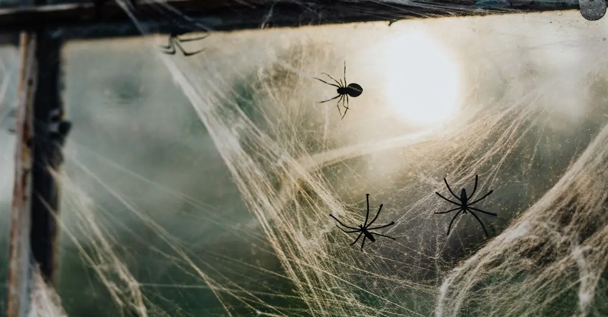 Comment créer une ambiance terrifying pour Halloween