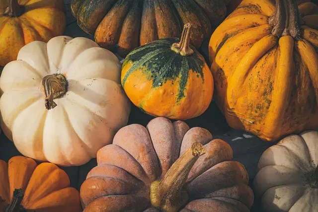 10 accessoires indispensables pour faire sensation à Halloween