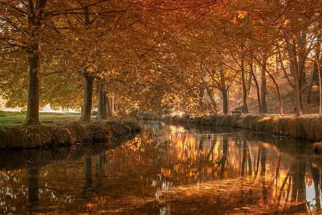 Comment préparer une fête d'Halloween originale : 10 idées