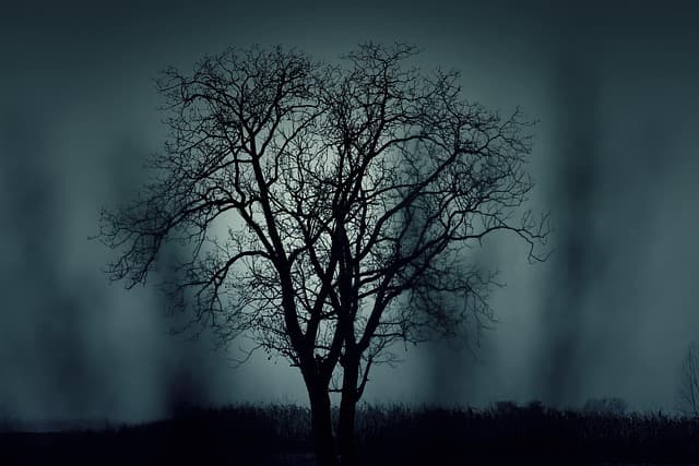 Comment organiser un jeu d'Halloween inoubliable pour petits et grands