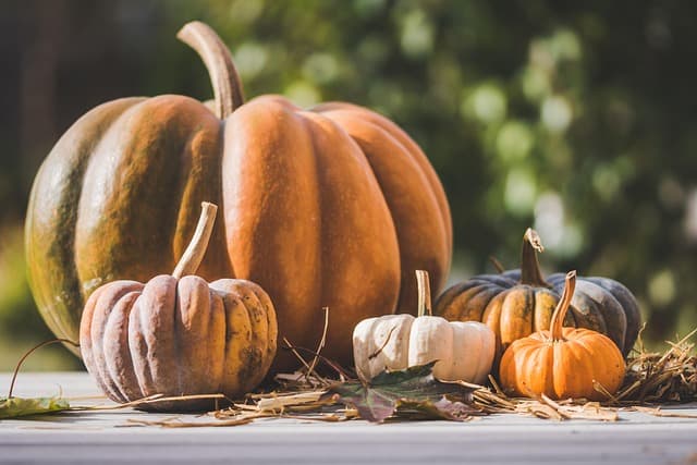10 idées de costumes d'Halloween uniques pour un effet garanti