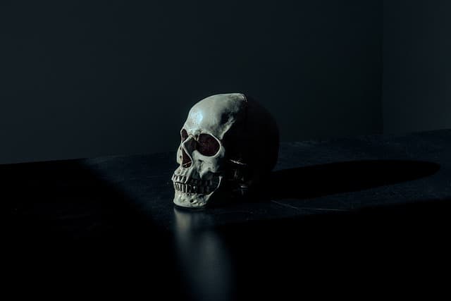 Comment créer une ambiance lugubre pour Halloween